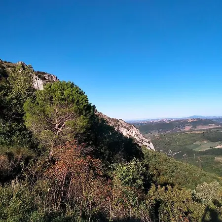 Locazione Nonna Maria Turistico Holiday home Precicchie